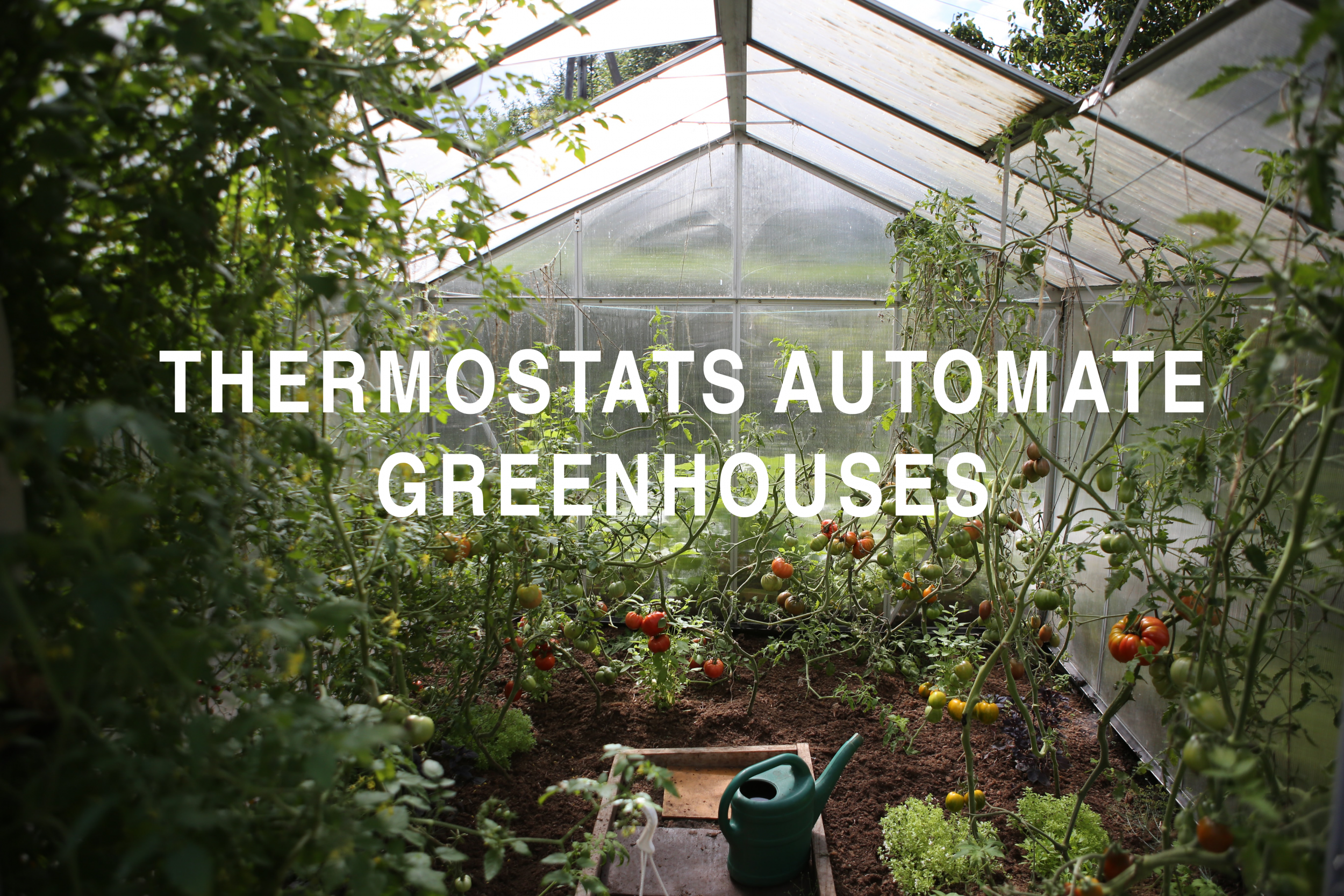Thermostats Automate Greenhouses