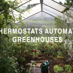 Greenhouse Line Voltage Thermostat